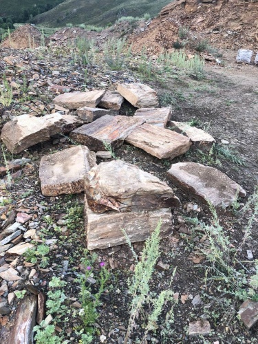 Плитняк кора дерева 50-100мм для пошаговых дорожек купить в Новосибирске